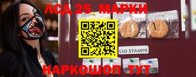 apvp Свободный