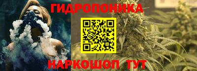 прущие грибы Северобайкальск
