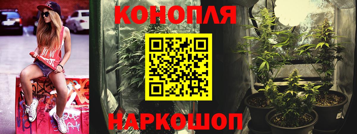 Конопля тримм  Марихуана сатива  Нижневартовск  Марихуана планчик  Вход с VPN 